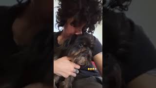 Orson cuddles #lp #music #rockstar #tour #musician #2022 #newyear