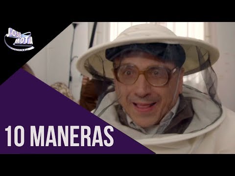 Jacintus XL: 10 formas de chinchar | JMP 2018