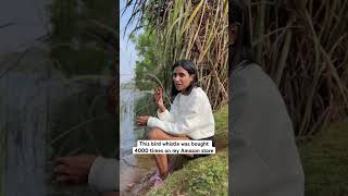 Download lagu Peluit burung buatan India mp3