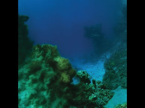 Tiny Fingers - The Fall (2015), Full Album