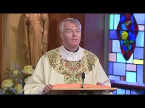 I Am With You Always | Homily: Father James O'Driscoll