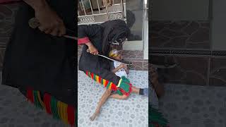 Download lagu Bocil Diculik Setan Hitam #shorts mp3 Download lagu Bocil Diculik Setan Hitam #shorts mp3