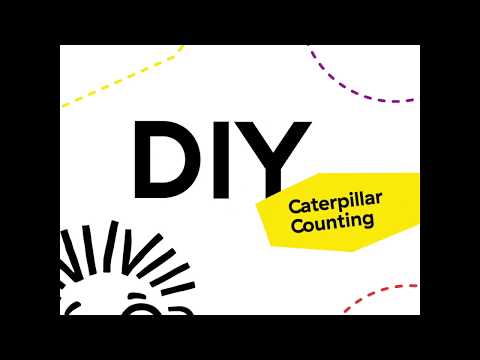 Baby Einstein DIY Counting Cal the Caterpillar