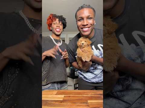 Dad vs Daddy! Who will she choose? 🐶