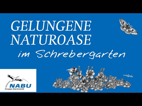 Naturgarten im Schrebergarten