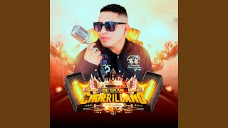 Video  Paloma del Alma Mía (Audio) de El Gran Chorrillano