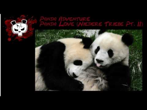 Panda Love (Niedere Triebe Pt. II)