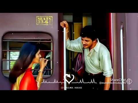 punaha punaha kelidaru