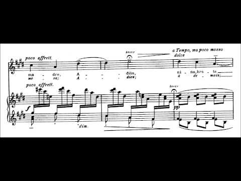 Manuel de Falla - Siete canciones populares españolas (GSARCI VIDEO VERSION)