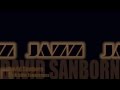 David Sanborn - Try A Little Tenderness