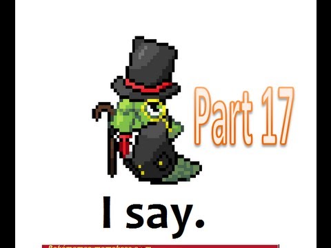 Pokemon Zeta Walkthrough Part 17 - The Developer's Challenge