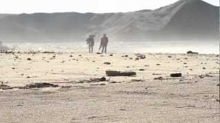 guess who&#39;s back