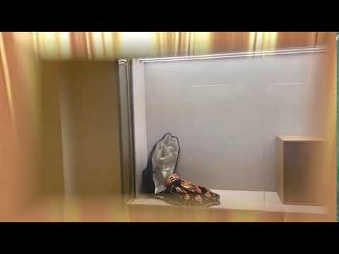 MAGLIA GIOIELLI TREVISO