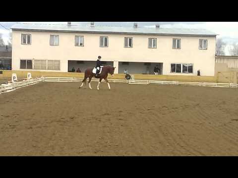 Катаева Анастасия и Визирь. CIC 2*, манежная езда
