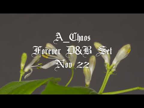 A_Chaos - Forever D&B - @ZoZoo Bar - 16/11/22 (#liquid #jungle #deep #drumandbass)