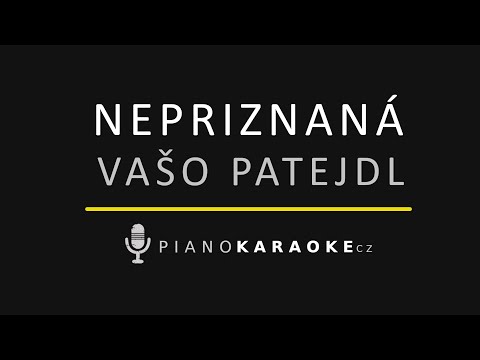 Vašo Patejdl - Nepriznaná | Piano Karaoke Instrumental