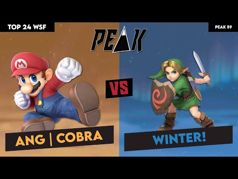 Top 24 WSF AnG | Cobra (Mario) vs WINTER! (Young Link) (Peak 59)