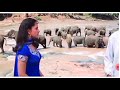 Elephant With 5 Legs Piche Deko Piche Bollywood Hindi Trendingshorts Comedy