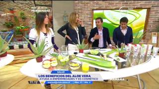 Download lagu Nutricionista explicó propiedades del Aloe Vera - La Mañana mp3