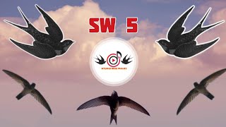 Download lagu SW 5 - REKAMAN ALAMI SUARA WALET TANPA EDIT - STUDIO MINI WALET mp3