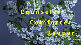 Selah - Wonderful, Merciful, Savior (Lyrics)