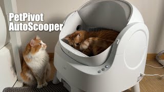Honest Review PetPivot AutoScooper: Is It Really Reliable?