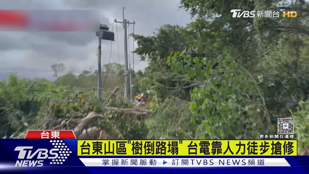 楊柳颳15級風！台東逾4萬戶停電　拚午夜前復電