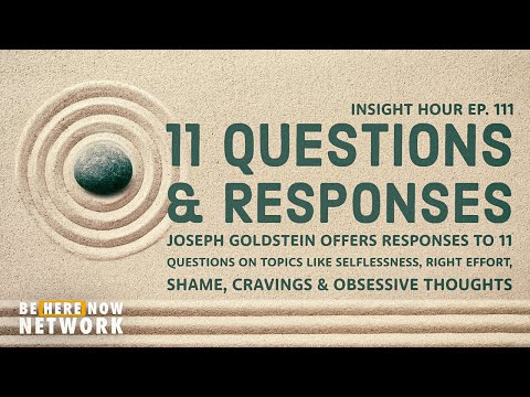 Joseph Goldstein's Insight Hour Ep. 111: 11 Questions & Responses
