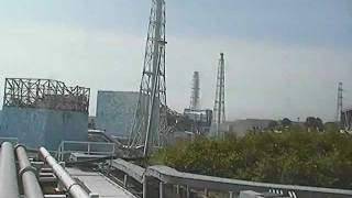 preview picture of video 'Dog Roaming at Fukushima Daiichi Nuclear Power Plant - 8x speed'