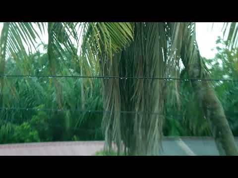 Samsung Galaxy K Zoom Camera Test 2022 l Post anything.