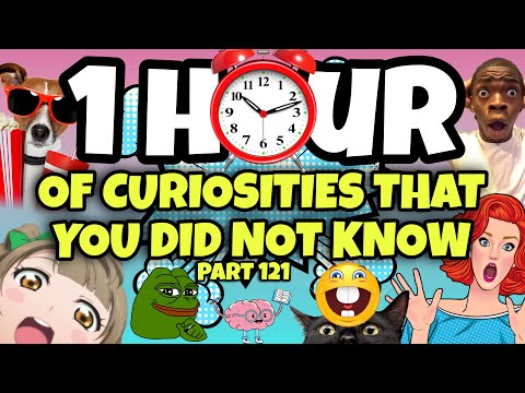 1 HOUR OF CURIOSITIES AND THINGS YOU DIDN’T KNOW 🧠⏰ #121