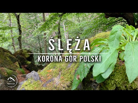Ślęża - Ślęża Massif - Crown of Polish Mountains (9/28) 08.2020