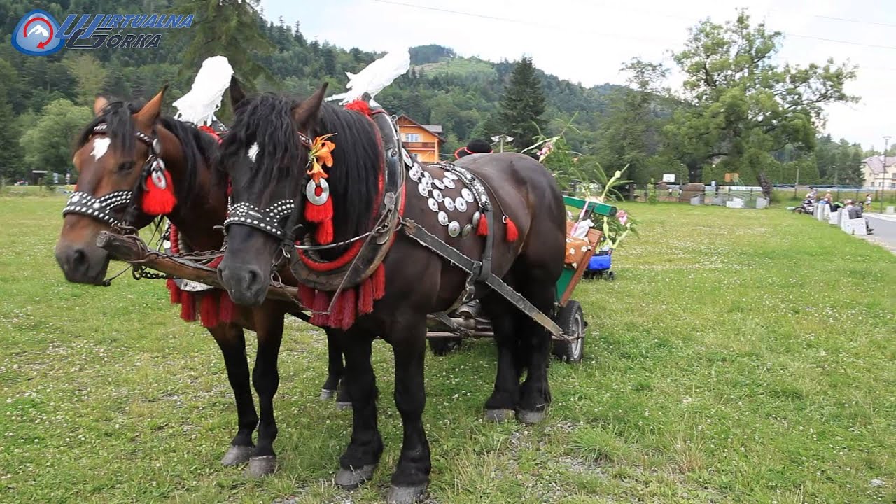 Międzynarodowy Konkurs Heligonistów