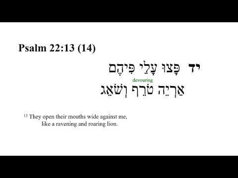 Psalm 22 -- Hebrew Bible Speaker with English Captions