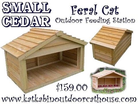 Small Cedar Feral Cat Outdoor Feeding Station