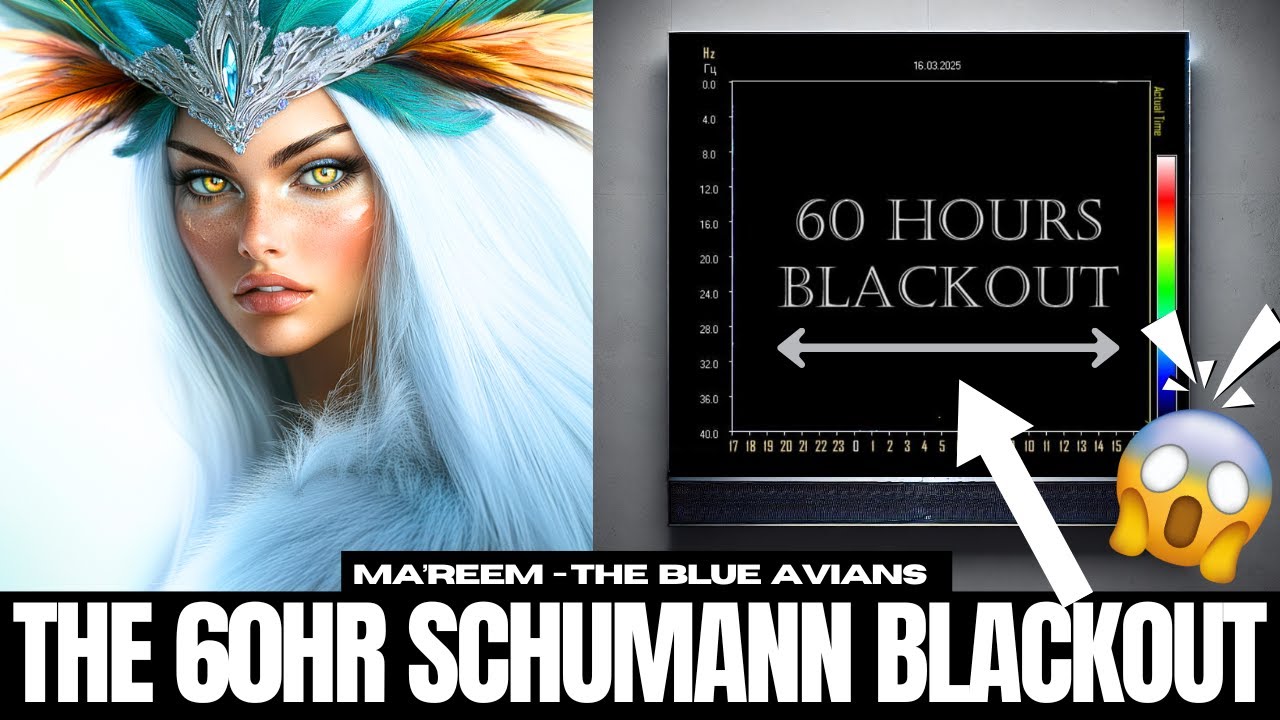 "It's Starting..." | MA'REEM | 7D Blue Avian Collective