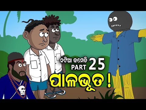 NATIA COMEDY Part 25 || Pala bhuta