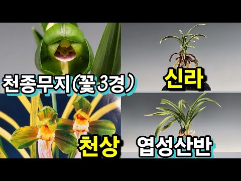 유튜브 썸네일
