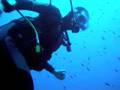 Scoglio "La Nave" - Enfola Diving Center 