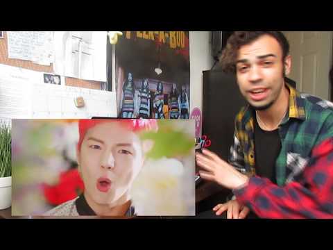 A.C.E (에이스) - Take Me Higher (M/V Reaction)