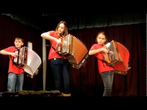 Koncert orkestra harmonikarjev CiS -25.1.2013.