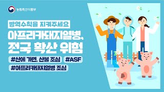 산에 가면, 산불 조심! 아프리카돼지열병 조심! | 농식품부 x 소방청 x 산림청