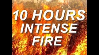 🔥 Intense Fire - Relaxing Nature Sounds 10 Hours