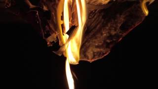 Ben Chatwin - The Sleeper Awakes - Trailer