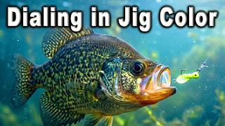 Picking Crappie Jig Colors That Work