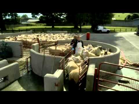 >4:09Cyperguard Sheep Dip from Bimeda Sheep Dipping Video – How to dip sheep properly.YouTube · will11b · Apr 20, 20115 key moments in this videoMissing: cyberguard ‎| Must include: cyberguard’><span>▶</span></a></p>
<hr>
		</div>

				<footer class="entry-meta" aria-label="Entry meta">
			<span class="cat-links"><span class="gp-icon icon-categories"><svg viewBox="0 0 512 512" aria-hidden="true" xmlns="http://www.w3.org/2000/svg" width="1em" height="1em"><path d="M0 112c0-26.51 21.49-48 48-48h110.014a48 48 0 0143.592 27.907l12.349 26.791A16 16 0 00228.486 128H464c26.51 0 48 21.49 48 48v224c0 26.51-21.49 48-48 48H48c-26.51 0-48-21.49-48-48V112z" /></svg></span><span class="screen-reader-text">Categories </span><a href="https://www.vnwalls.com/category/blog/" rel="category tag">BLOG</a></span> 		<nav id="nav-below" class="post-navigation" aria-label="Single Post">
			<span class="screen-reader-text">Post navigation</span>

			<div class="nav-previous"><span class="gp-icon icon-arrow-left"><svg viewBox="0 0 192 512" aria-hidden="true" xmlns="http://www.w3.org/2000/svg" width="1em" height="1em" fill-rule="evenodd" clip-rule="evenodd" stroke-linejoin="round" stroke-miterlimit="1.414"><path d="M178.425 138.212c0 2.265-1.133 4.813-2.832 6.512L64.276 256.001l111.317 111.277c1.7 1.7 2.832 4.247 2.832 6.513 0 2.265-1.133 4.813-2.832 6.512L161.43 394.46c-1.7 1.7-4.249 2.832-6.514 2.832-2.266 0-4.816-1.133-6.515-2.832L16.407 262.514c-1.699-1.7-2.832-4.248-2.832-6.513 0-2.265 1.133-4.813 2.832-6.512l131.994-131.947c1.7-1.699 4.249-2.831 6.515-2.831 2.265 0 4.815 1.132 6.514 2.831l14.163 14.157c1.7 1.7 2.832 3.965 2.832 6.513z" fill-rule="nonzero" /></svg></span><span class="prev" title="Previous"><a href="https://www.vnwalls.com/morena-beach-tan-reviews/" rel="prev">morena beach tan reviews</a></span></div><div class="nav-next"><span class="gp-icon icon-arrow-right"><svg viewBox="0 0 192 512" aria-hidden="true" xmlns="http://www.w3.org/2000/svg" width="1em" height="1em" fill-rule="evenodd" clip-rule="evenodd" stroke-linejoin="round" stroke-miterlimit="1.414"><path d="M178.425 256.001c0 2.266-1.133 4.815-2.832 6.515L43.599 394.509c-1.7 1.7-4.248 2.833-6.514 2.833s-4.816-1.133-6.515-2.833l-14.163-14.162c-1.699-1.7-2.832-3.966-2.832-6.515 0-2.266 1.133-4.815 2.832-6.515l111.317-111.316L16.407 144.685c-1.699-1.7-2.832-4.249-2.832-6.515s1.133-4.815 2.832-6.515l14.163-14.162c1.7-1.7 4.249-2.833 6.515-2.833s4.815 1.133 6.514 2.833l131.994 131.993c1.7 1.7 2.832 4.249 2.832 6.515z" fill-rule="nonzero" /></svg></span><span class="next" title="Next"><a href="https://www.vnwalls.com/rear-diffuser-acura-tl/" rel="next">rear diffuser acura tl</a></span></div>		</nav>
				</footer>
			</div>
</article>
		</main>
	</div>

	<div class="widget-area sidebar is-right-sidebar" id="right-sidebar">
	<div class="inside-right-sidebar">
		<aside id="search-2" class="widget inner-padding widget_search"><form method="get" class="search-form" action="https://www.vnwalls.com/">
	<label>
		<span class="screen-reader-text">Search for:</span>
		<input type="search" class="search-field" placeholder="Search …" value="" name="s" title="Search for:">
	</label>
	<button class="search-submit" aria-label="Search"><span class="gp-icon icon-search"><svg viewBox="0 0 512 512" aria-hidden="true" xmlns="http://www.w3.org/2000/svg" width="1em" height="1em"><path fill-rule="evenodd" clip-rule="evenodd" d="M208 48c-88.366 0-160 71.634-160 160s71.634 160 160 160 160-71.634 160-160S296.366 48 208 48zM0 208C0 93.125 93.125 0 208 0s208 93.125 208 208c0 48.741-16.765 93.566-44.843 129.024l133.826 134.018c9.366 9.379 9.355 24.575-.025 33.941-9.379 9.366-24.575 9.355-33.941-.025L337.238 370.987C301.747 399.167 256.839 416 208 416 93.125 416 0 322.875 0 208z" /></svg></span></button></form>
</aside>
		<aside id="recent-posts-2" class="widget inner-padding widget_recent_entries">
		<h2 class="widget-title">Recent Posts</h2>
		<ul>
											<li>
					<a href="https://www.vnwalls.com/cac-truong-cao-dang-o-go-vap/">các trường cao đẳng ở gò vấp</a>
									</li>
											<li>
					<a href="https://www.vnwalls.com/nganh-dieu-duong-viet-nam/">ngành điều dưỡng việt nam</a>
									</li>
											<li>
					<a href="https://www.vnwalls.com/hoc-bong-toan-phan-nganh-dieu-duong/">học bổng toàn phần ngành điều dưỡng</a>
									</li>
											<li>
					<a href="https://www.vnwalls.com/hoc-dinh-huong-di-han-quoc/">học định hướng đi hàn quốc</a>
									</li>
											<li>
					<a href="https://www.vnwalls.com/hoc-cao-dang-duoc-he-vua-hoc-vua-lam/">học cao đẳng dược hệ vừa học vừa làm</a>
									</li>
					</ul>

		</aside><aside id="recent-comments-2" class="widget inner-padding widget_recent_comments"><h2 class="widget-title">Recent Comments</h2><ul id="recentcomments"></ul></aside>	</div>
</div>

	</div>
</div>


<div class="site-footer">
			<footer class="site-info" aria-label="Site"  itemtype="https://schema.org/WPFooter" itemscope>
			<div class="inside-site-info grid-container">
								<div class="copyright-bar">
					<span class="copyright">© 2022 VNWALLS</span> • Built with <a href="https://generatepress.com" itemprop="url">GeneratePress</a>				</div>
			</div>
		</footer>
		</div>

<script id="generate-a11y">!function(){"use strict";if("querySelector"in document&&"addEventListener"in window){var e=document.body;e.addEventListener("mousedown",function(){e.classList.add("using-mouse")}),e.addEventListener("keydown",function(){e.classList.remove("using-mouse")})}}();</script><!--[if lte IE 11]>
<script src=