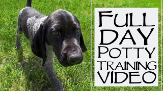 Potty Training 9 Week Old Puppy - Full 24 Hour Breakdown