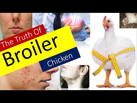 The Truth of Broiler Chicken | How Broiler Chickens are Produced | How Broiler Effects Your Body?