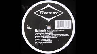 Kaligula featuring Marshall Jefferson - Feed The Lions (Blakkat Mix)
