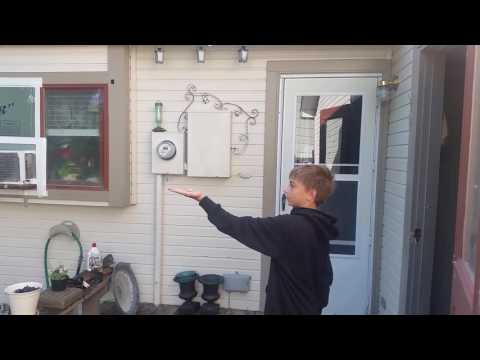 Blue jay eating peanuts out of my hand